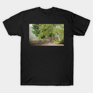 Church Beck Morning T-Shirt